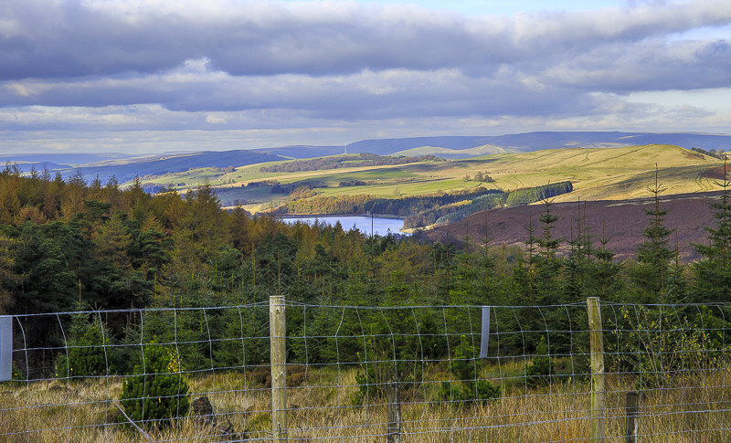 Ladder Hill